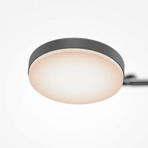 Светильник на штанге Maytoni Fad MOD070CL-L15B3K1 в Пойковском - poikovskii.ok-mebel.com | фото 7