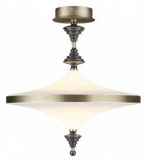 Светильник на штанге Odeon Light Ula 5404/43CL в Пойковском - poikovskii.ok-mebel.com | фото 2