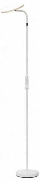 Торшер Citilux SOLO CL804060 в Пойковском - poikovskii.ok-mebel.com | фото