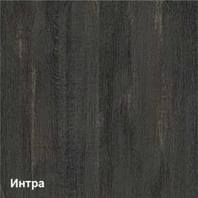 Трувор Шкаф 13.204.01 в Пойковском - poikovskii.ok-mebel.com | фото 3