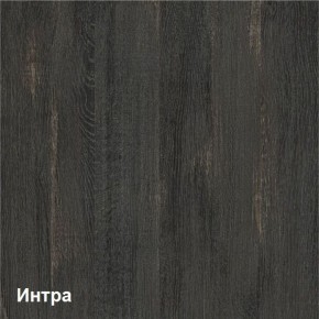 Трувор Шкаф-стеллаж 13.206 в Пойковском - poikovskii.ok-mebel.com | фото 4